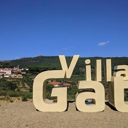 Turistico Dalmacia At-cc-00769 * Gata