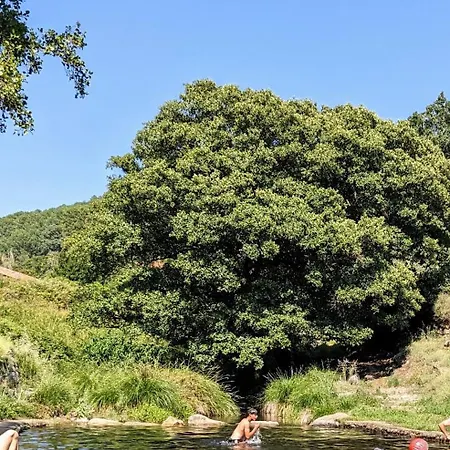 Turistico Dalmacia At-cc-00769 * Gata