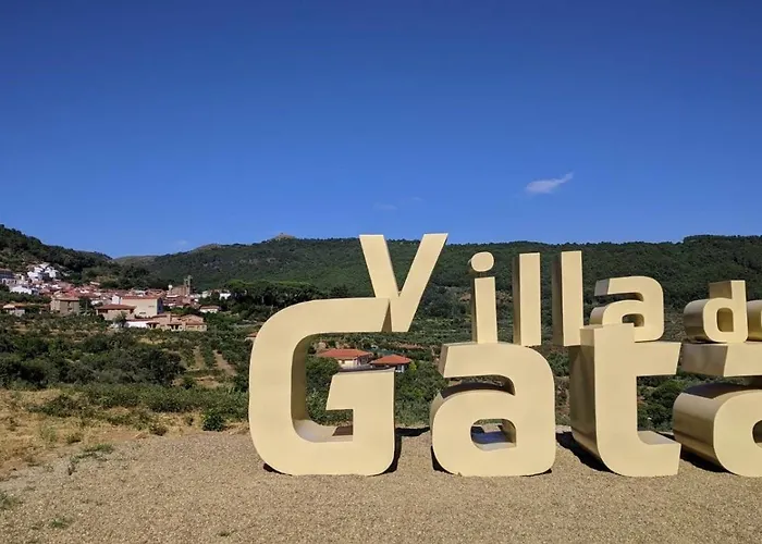 Turístico Dalmacia At-cc-00769 * Gata